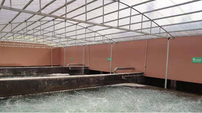 博取COD、氨氮及总磷分析仪应用于江西农村污水厂水质的监测