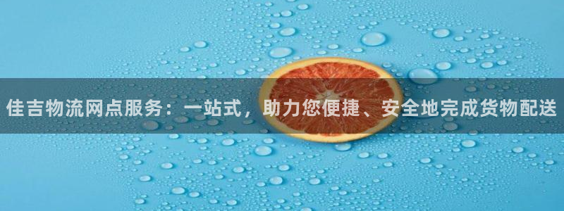 多多28龙虎：佳吉物流网点服务：一站