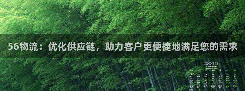 多多28绿骨头：56物流：优化供应链