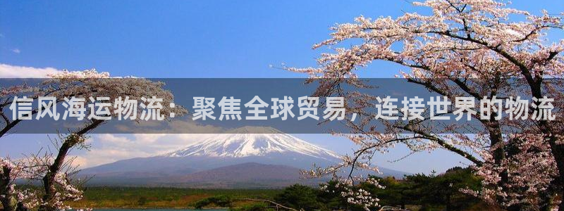 多多28APP是干什么的：信风海运物