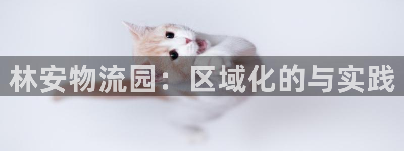 多多28哪个最赚钱：林安物流园：区域