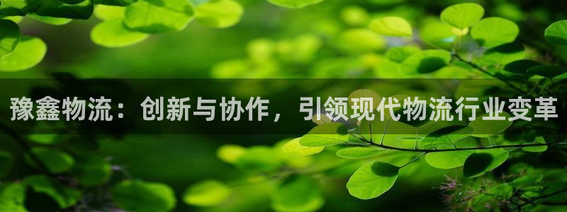 多多28加拿大：豫鑫物流：创新与协作