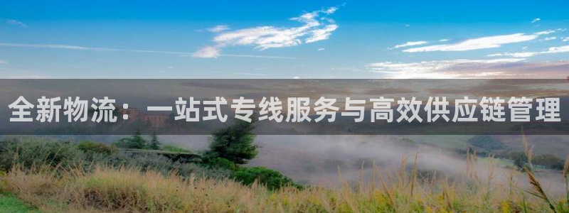 多多28游戏链接：全新物流：一站式专