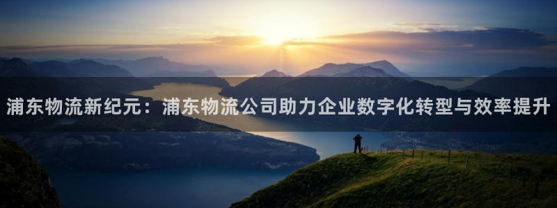 多多28机器人是什么软件：浦东物流新