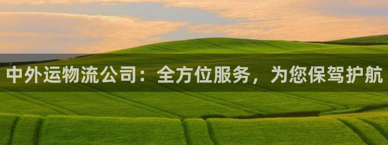 多多28注册官网：中外运物流公司：全