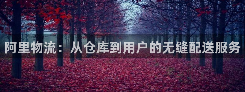 多多28反水什么时候到：阿里物流：从