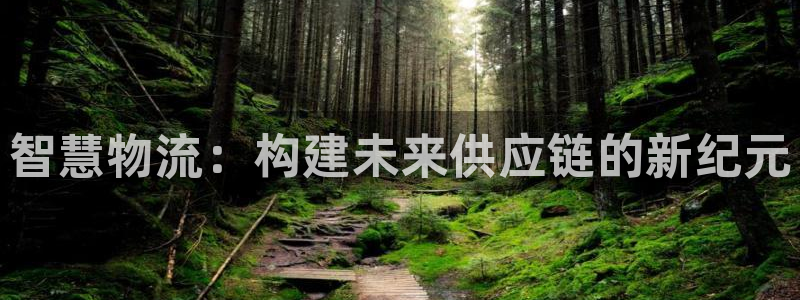多多28可以退款吗：智慧物流：构建未