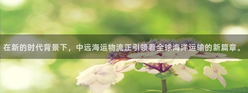 多多28反水怎么算：在新的时代背景下，中远海运物流正引领着全