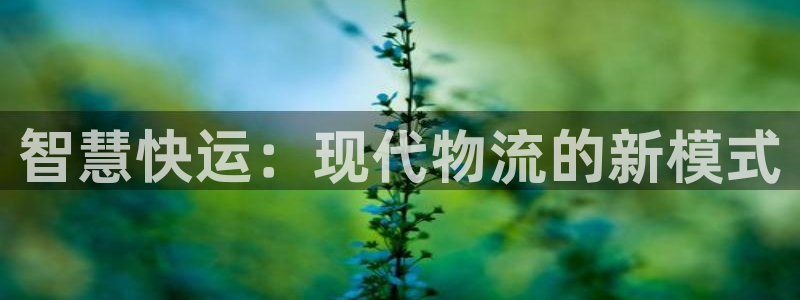 多多28稳吗：智慧快运：现代物流的新