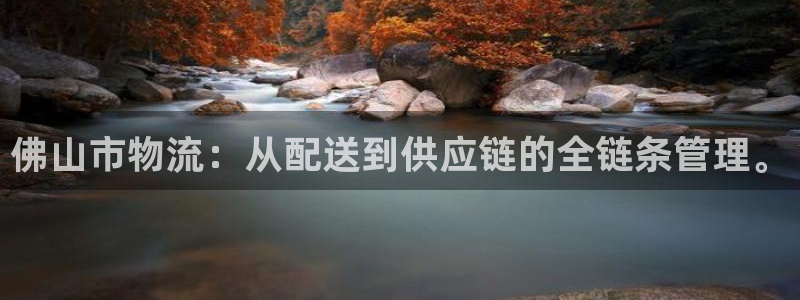 多多28官方网站预测：佛山市物流：从