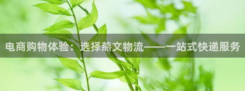 多多28注册账号：电商购物体验：选择