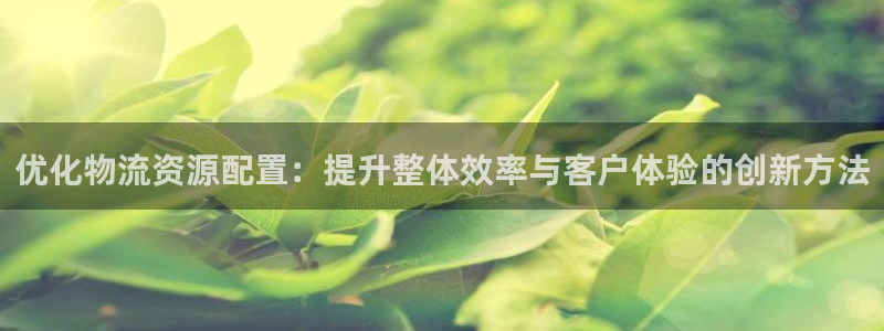 多多28登录网：优化物流资源配置：提