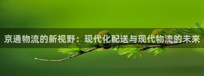 多多28登录不上咋回事：京通物流的新