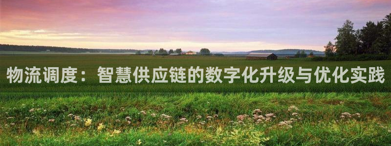 多多28注册网址百度知道：物流调度：