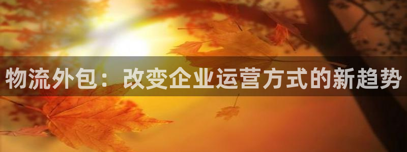 多多28官网链接：物流外包：改变企业
