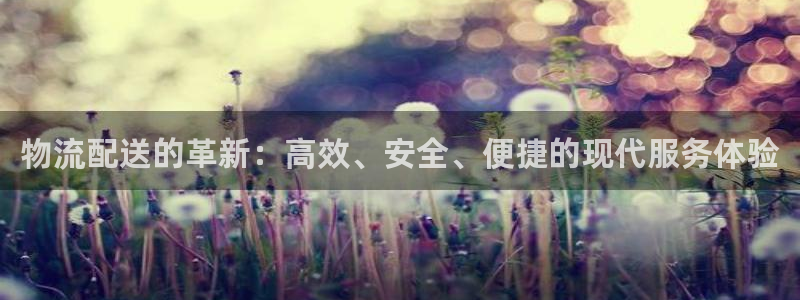 多多28能提现吗：物流配送的革新：高效、安全、便捷的现代服务