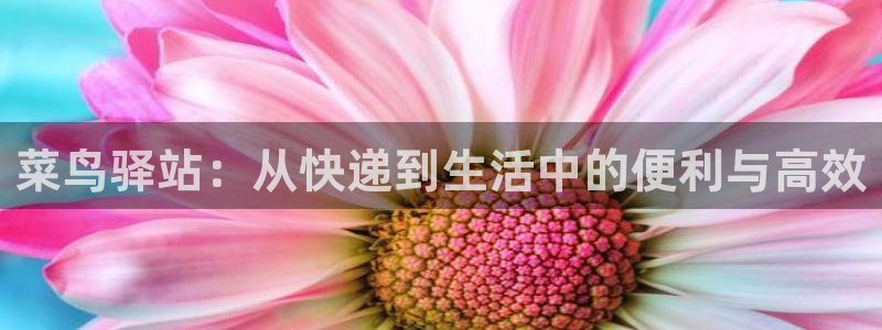多多28充值金额随便：菜鸟驿站：从快