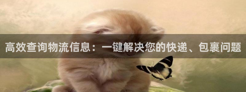 南宫多多28官网：高效查询物流信息：