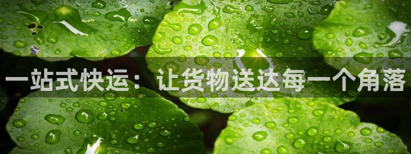 多多28app怎么注册账号：一站式快