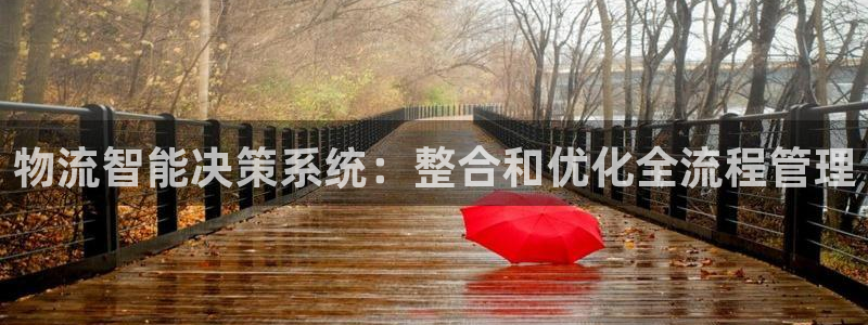 多多28旗下：物流智能决策系统：整合