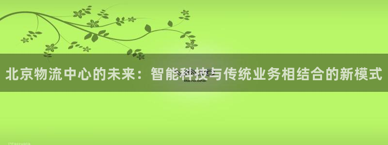 多多28官方网站预测：北京物流中心的未来：智能科技与传统业务