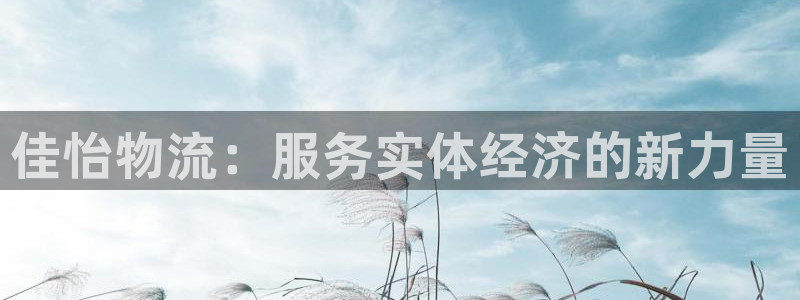 多多28软件有什么用：佳怡物流：服务