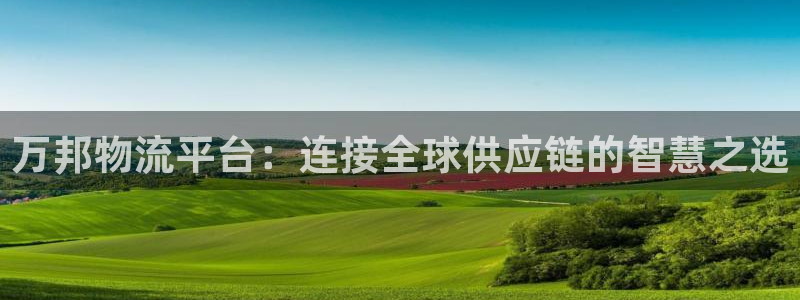 多多28机器人是什么软件：万邦物流平台：连接全球供应链的智慧