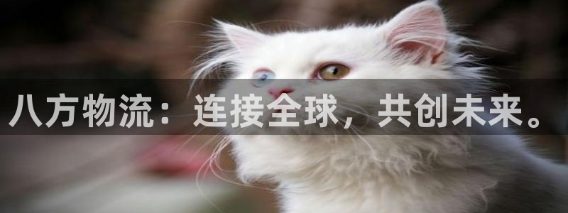 多多28加拿大走势：八方物流：连接全