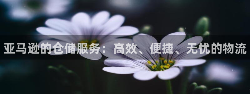 多多28p扣除是什么意思：亚马逊的仓