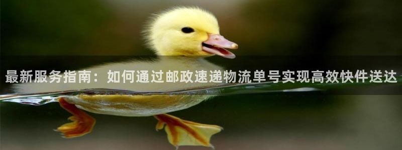 多多28官网版2024：最新服务指南：如何通过邮政速递物流单