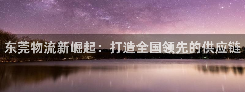 多多28官网下载APP：东莞物流新崛