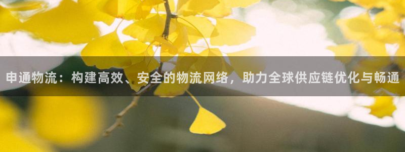 多多28反水怎么算：申通物流：构建高