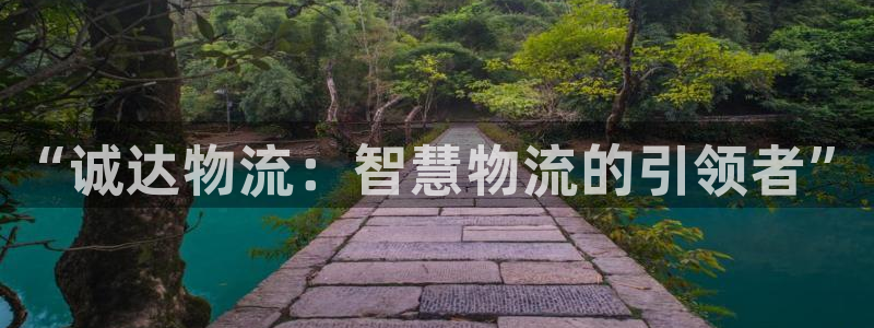 多多28预测：“诚达物流：智慧物流的