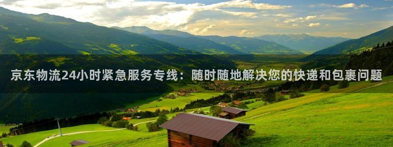 多多28官方：京东物流24小时紧急服