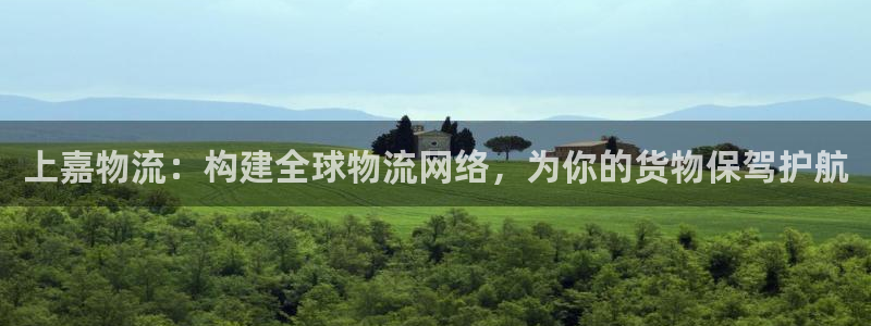多多28在线预测官网：上嘉物流：构建