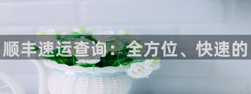 多多28如何看计划：顺丰速运查询：全