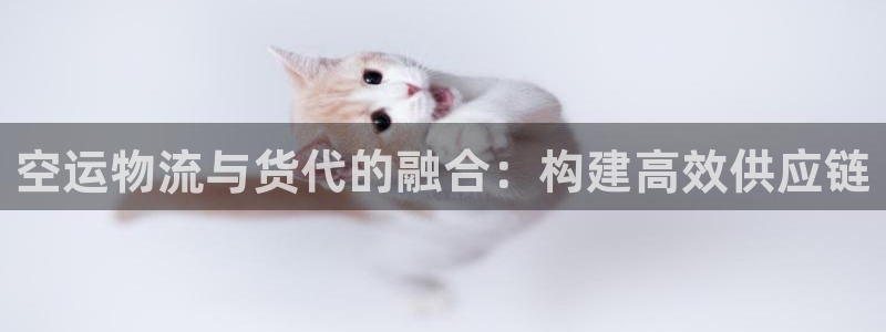 多多28官网平台:空运物流与货代的融