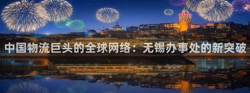 多多28预测：中国物流巨头的全球网络