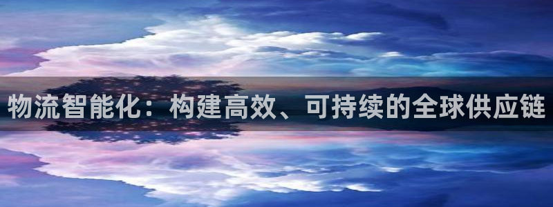 多多28注册流程：物流智能化：构建高