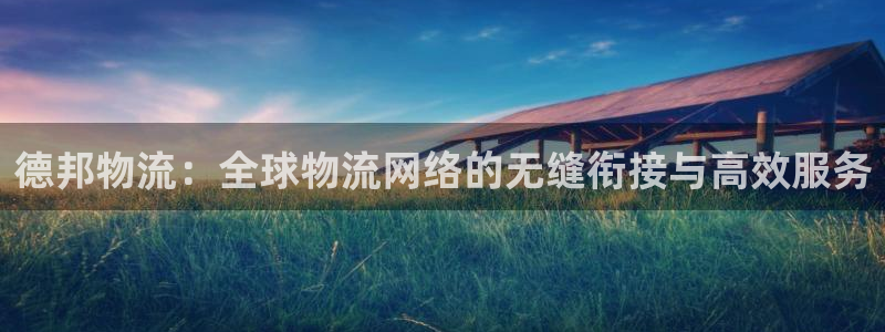 多多28官网入口2024：德邦物流：