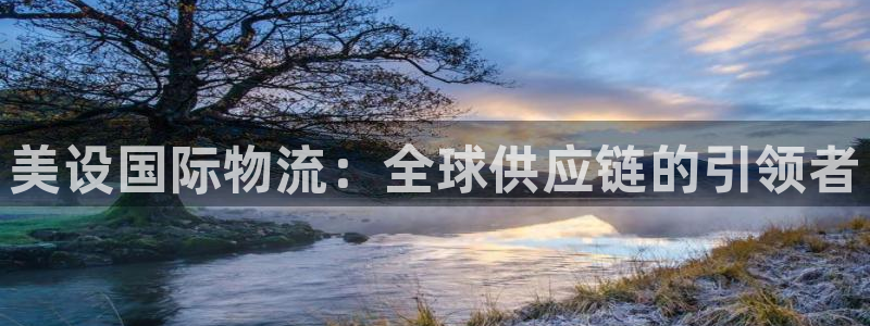 多多28加拿大是什么：美设国际物流：