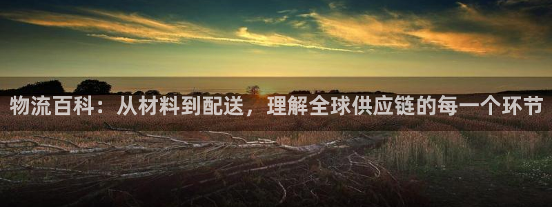 多多28官方官网：物流百科：从材料到