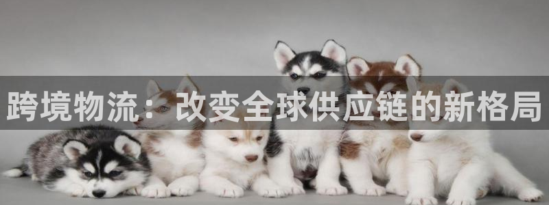 多多28怎么下载