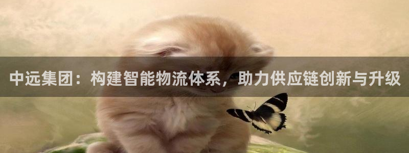 多多28流水怎么算