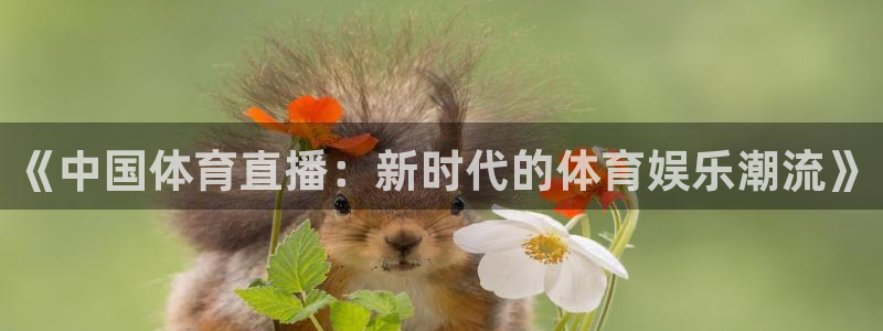 熊猫怎么直播：《中国体育直播：新时代的体育娱乐潮流》