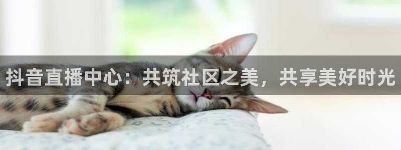 熊猫猫直播：抖音直播中心：共筑社区之美，共享美好时光