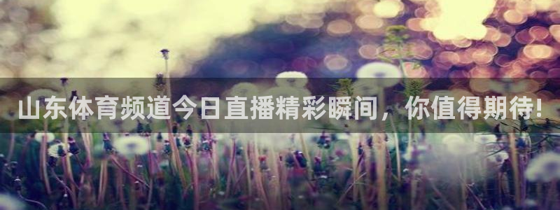 熊猫直播间：山东体育频道今日直播精彩瞬间，你值得期待!