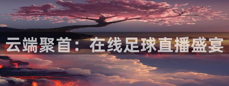 动感熊猫体育公园：云端聚首：在线足球直播盛宴