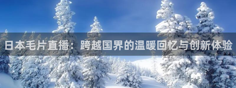 熊猫高清直播：日本毛片直播：跨越国界的温暖回忆与创新体验
