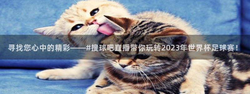 熊猫的歌曲：寻找您心中的精彩——#搜球吧直播带你玩转2023年世界杯足球赛！